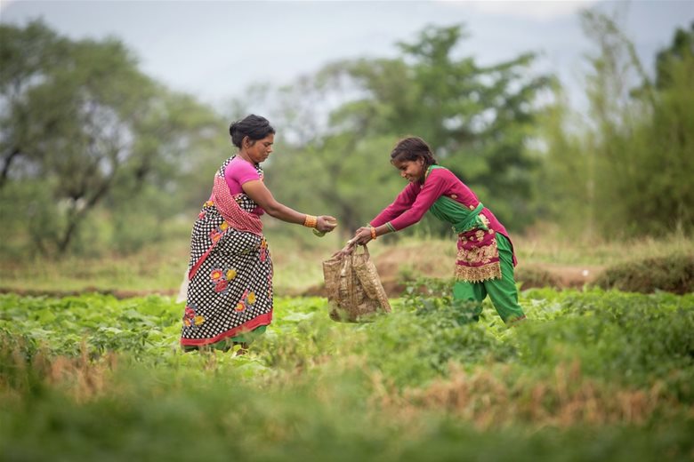 Nepal. Mor og datter jobber på åkeren.