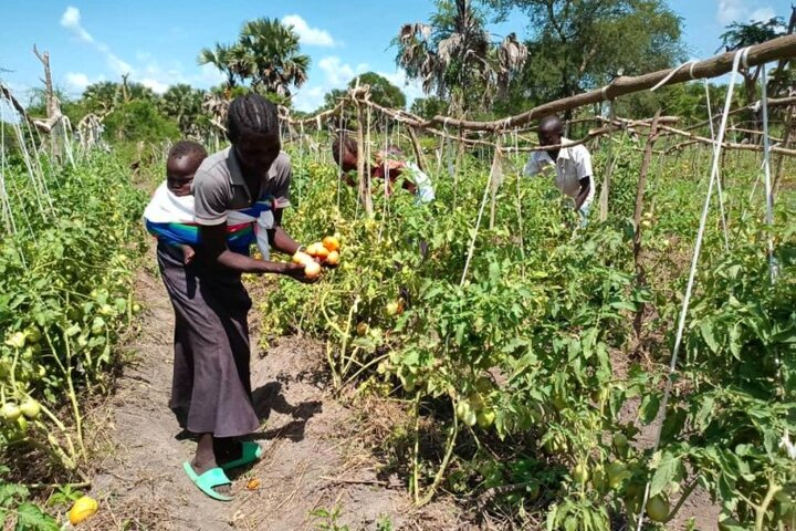 Agriculture