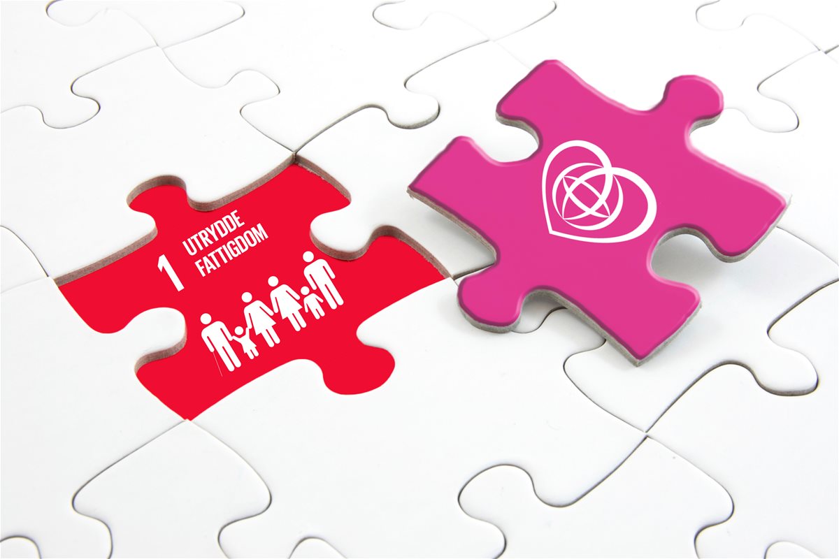 sdg1 puzzle correct logo