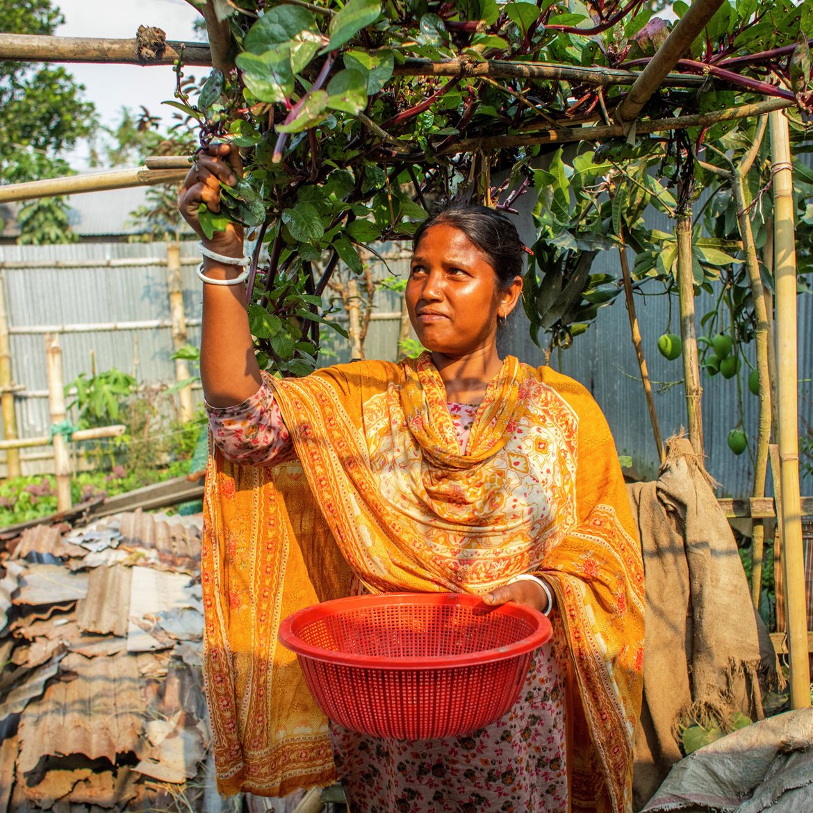 2025 Bangladesh - Rangpur – SEEDS (English)  